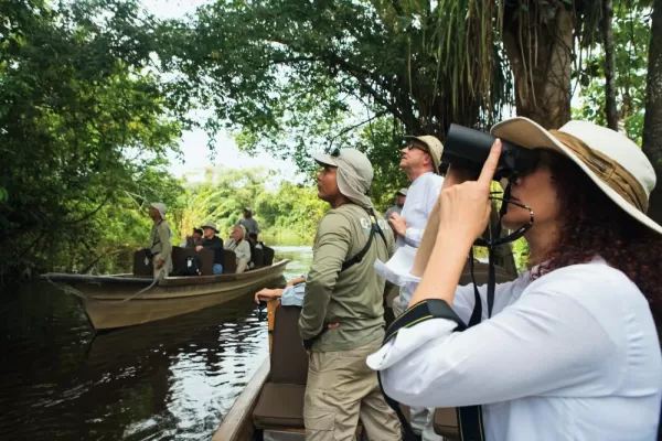 Birdwatching in the Amazon