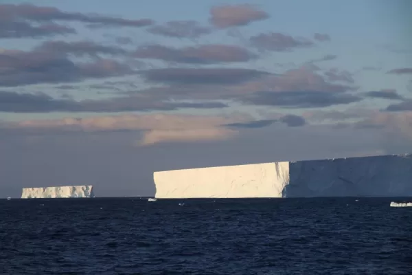 Icebergs!