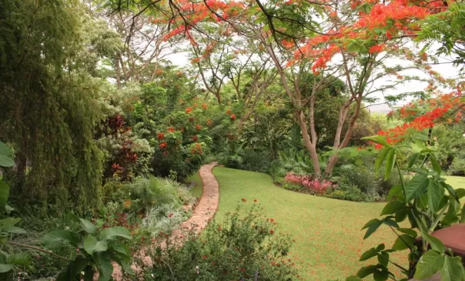 Explore Kumbali Country Lodge's lush gardens