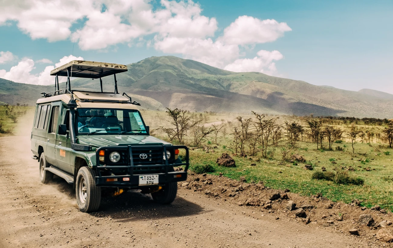 On safari