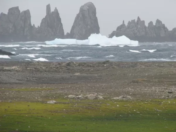 The South Shetland Islands