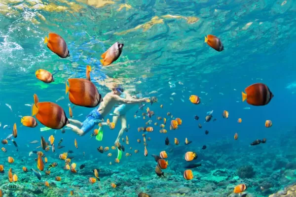 Couple snorkeling in the tropical waters of the Caribbean
