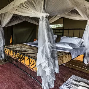 Standard Tent