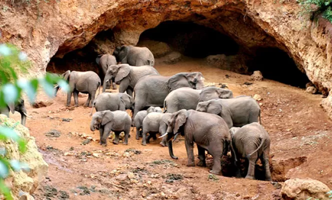 Visit the Elephant Caves