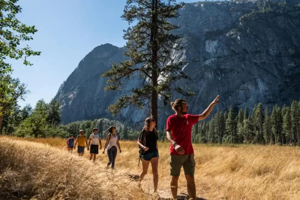Group Hiking in Yosemite NP