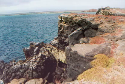 Ocean view on South Plaza during a tour of the Galapagos