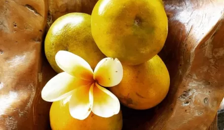 Oranges- the textures of Bali