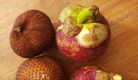 Mangosteen and Snake Fruit