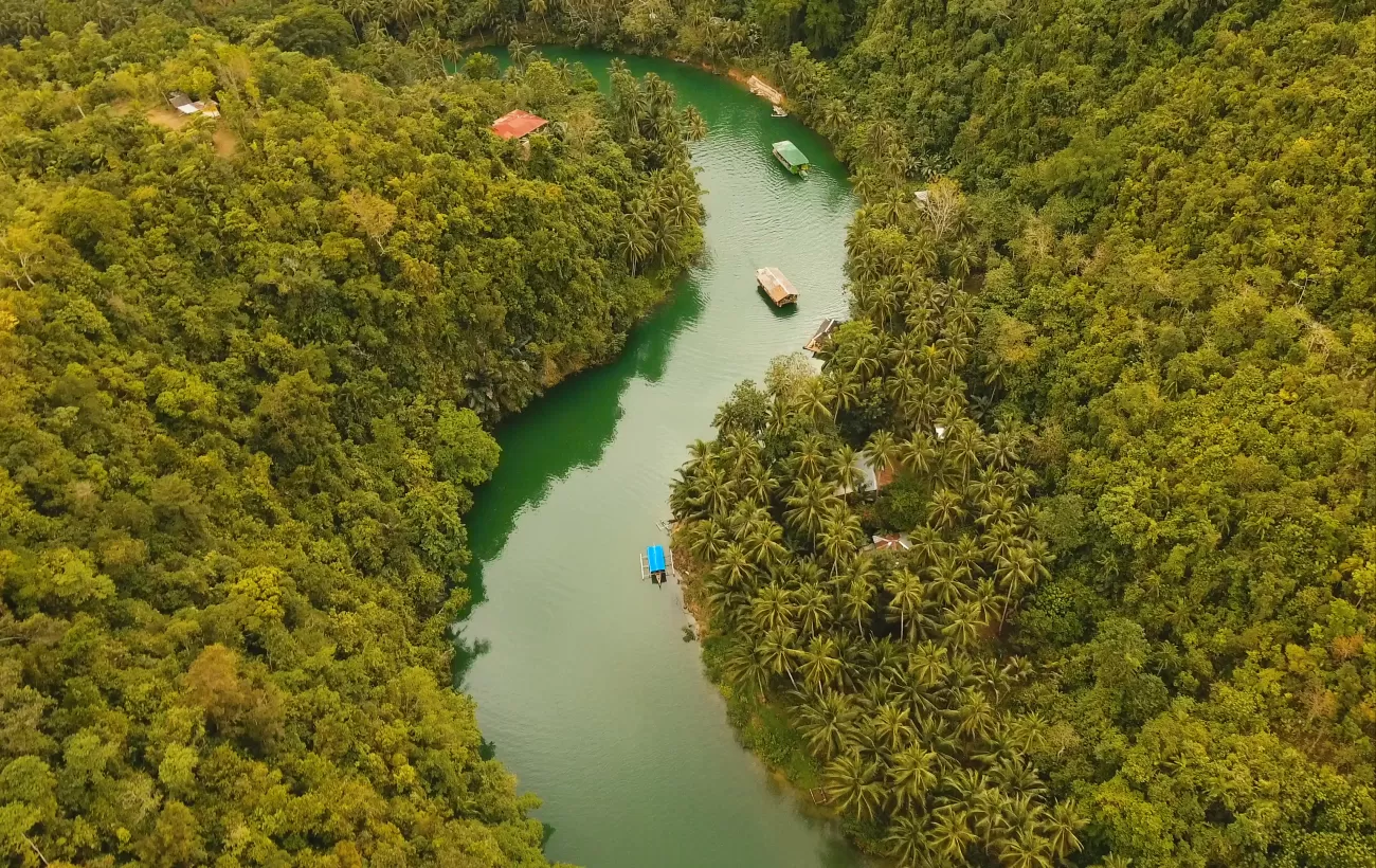 Loboc river in the rainforest Philippines, Bohol
