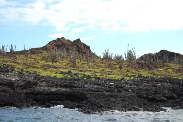 Lava rock and cactus create a rugged shoreline in the Galapagos