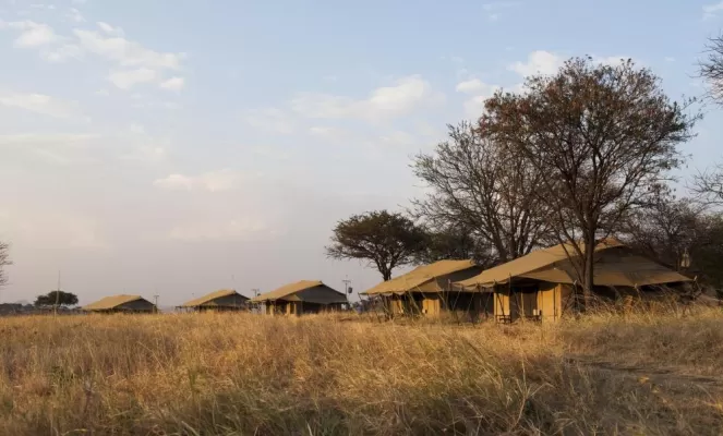 Mara Under Canva Tents Landscape