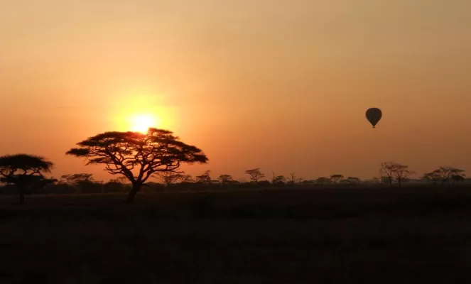 Serengeti Hot Air Balloon