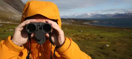 Looking for wildlife in the Arctic