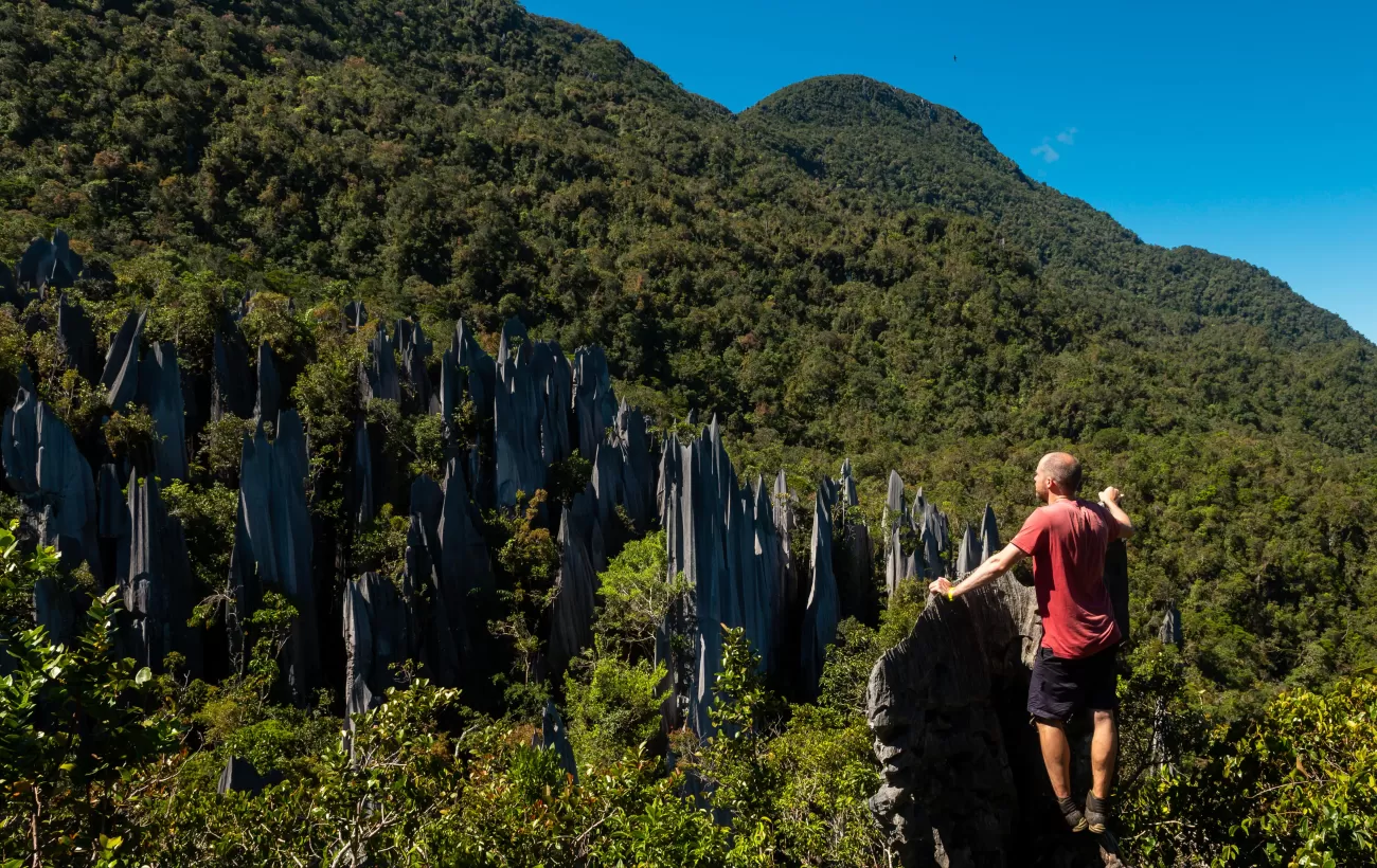 Pinnacles hike in Mulu National Park