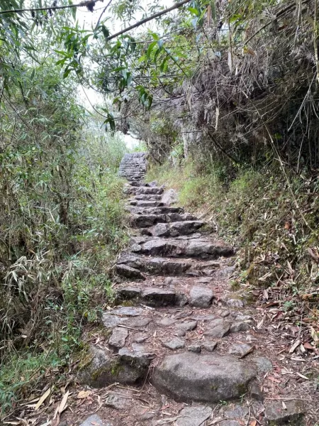 The seemingly endless stairs of Machu Picchu Mountain