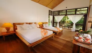 Borneo Rainforest Lodge - Standard Room