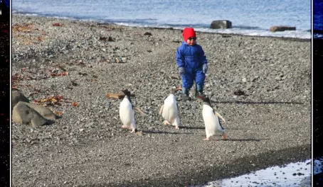 The Penguin Whisperer prepares to do his work for the day.