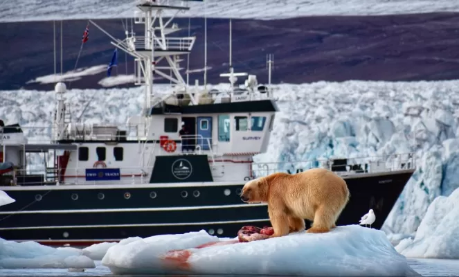 MV Kinfish with polar bear
