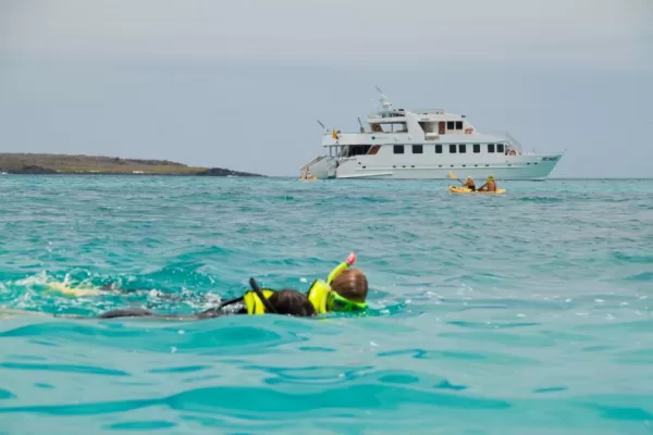 View the abundant marine wildlife while snorkeling on your Galapagos cruise