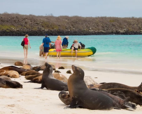 Explore secluded shores of the Galapagos on your small ship cruise