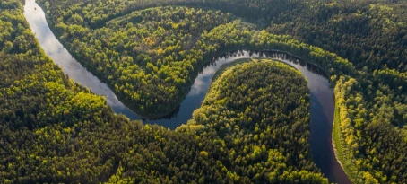 Amazon River