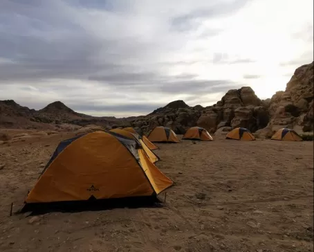 Standard Tents