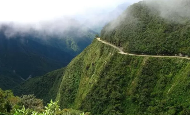 Yungas and Coroico