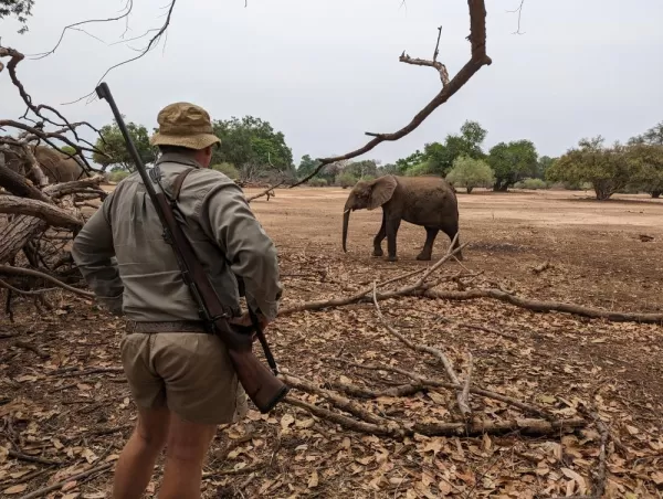 This cheeky young elephant needed to get shooed away by our guide David.