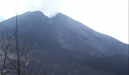  Pacaya volcano- crater