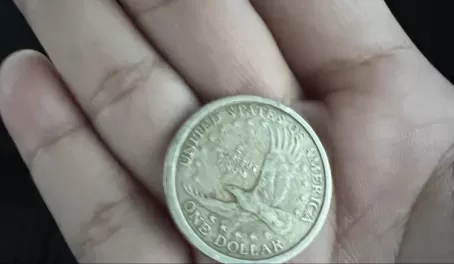 Ecuador's 1 dollar coin