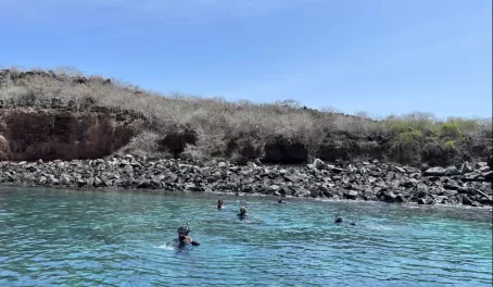Snorkeling - Gardner Bay