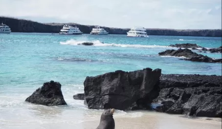 Cruising in the Galapagos