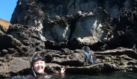 Dream come true! Snorkeling with a penguin