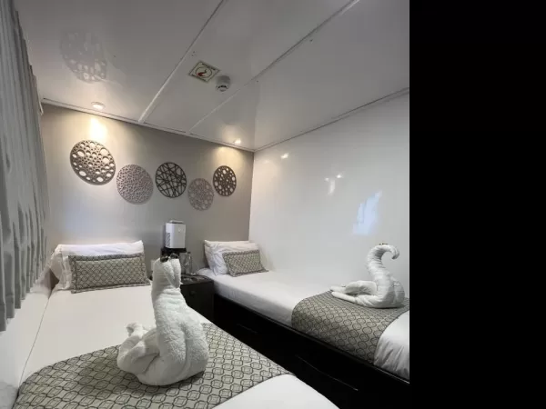 Upper Deck cabin with twin beds
