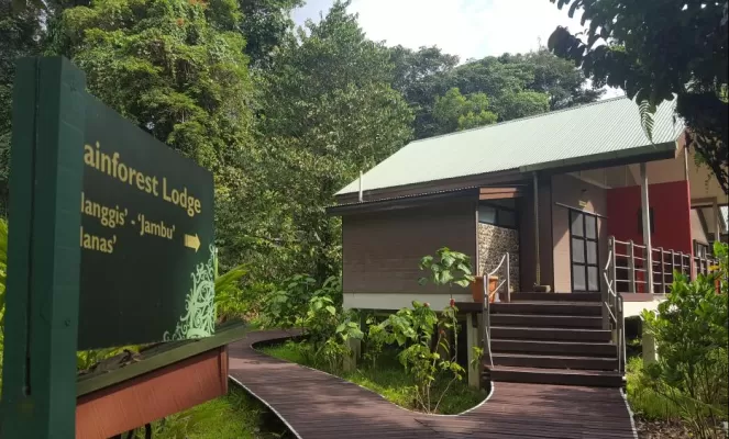 Rainforest Lodge Outside