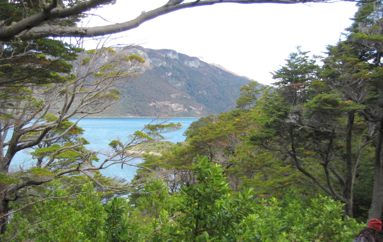 Beagle Channel from Tierra del Fuego National Park on Argentina trip