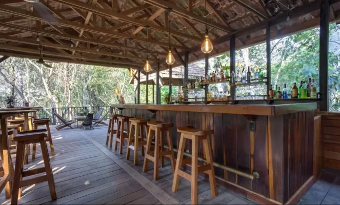 Treehouse Bar with lounge, bar, and dining area