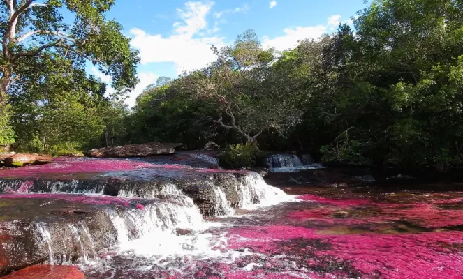 Red Lakes in Guaviare