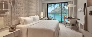 Full Ocean View Room