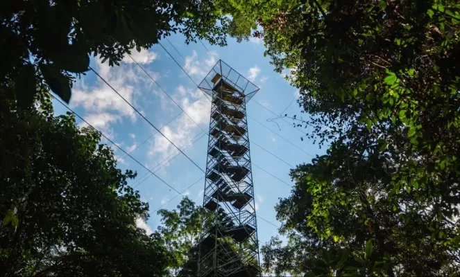 Refugio Amazonas Canopy tower