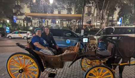 Seville horse and carriage