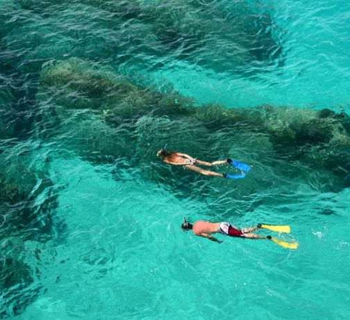 Snorkel the warm Caribbean waters on your small ship cruise