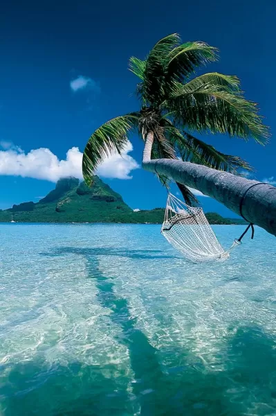 Savor your stay in Tahiti