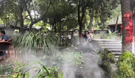 A steamy park in Chengdu