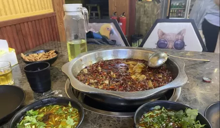 Frog hot pot in Chengdu