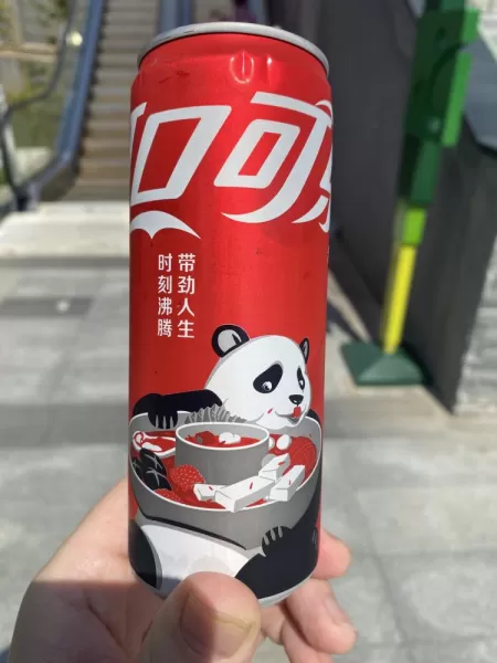 Panda eating hot pot on a Coke can