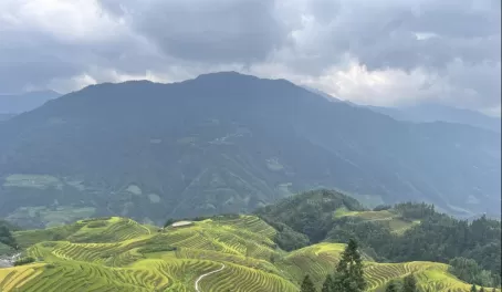 Mountains and rice terraces