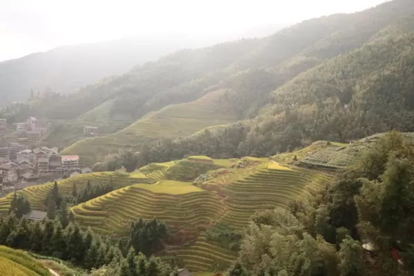 The endlessly photogenic rice terraces