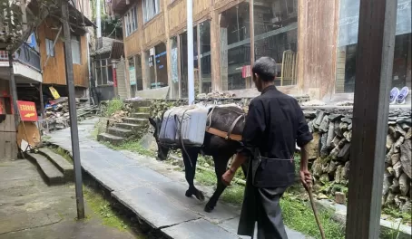 Man with a mule transporting goods in Ping'An Village