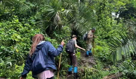 Kyambura Gorge Hike - chimpanzee tracking (without much luck)
